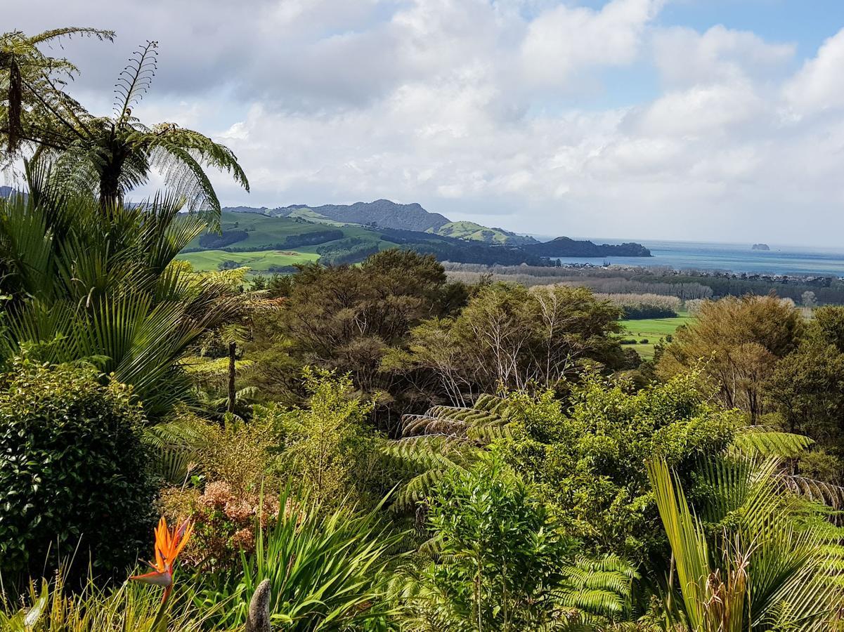 Woodyhanger Lodge Whitianga Exterior foto