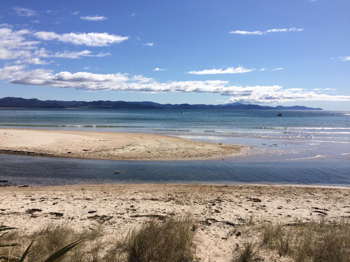 Woodyhanger Lodge Whitianga Exterior foto